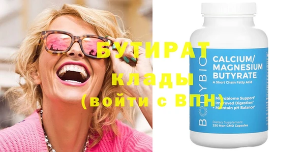индика Медвежьегорск