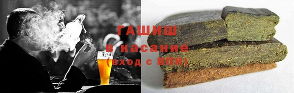 индика Медвежьегорск