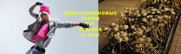индика Медвежьегорск