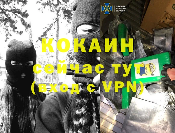 индика Медвежьегорск