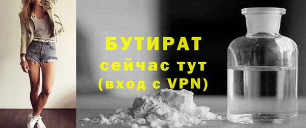 индика Медвежьегорск