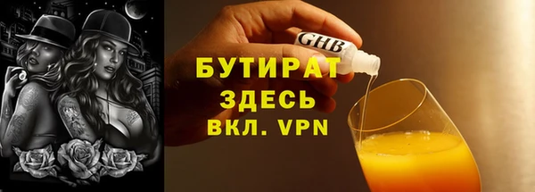 индика Медвежьегорск