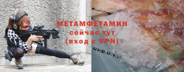 индика Медвежьегорск