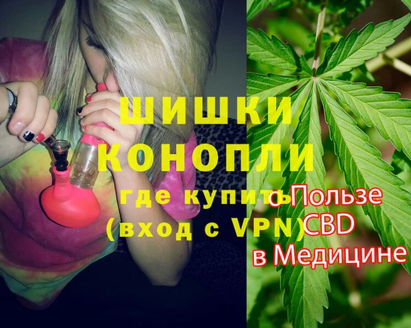 индика Медвежьегорск