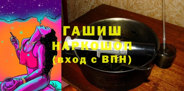 индика Медвежьегорск