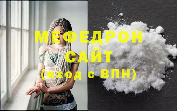 индика Медвежьегорск