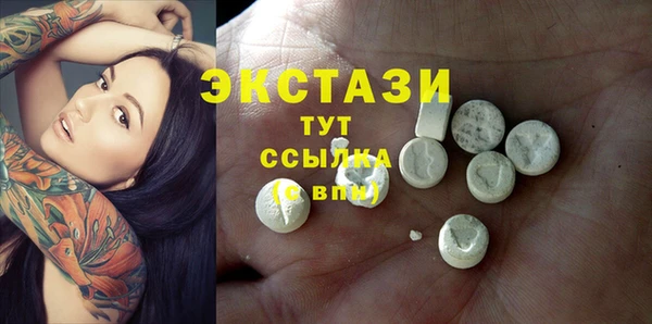 индика Медвежьегорск