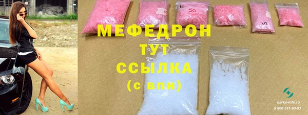 индика Медвежьегорск